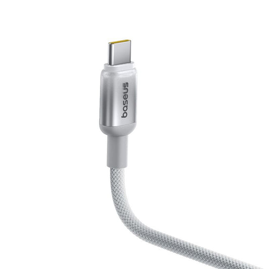 USB-C Data and Charging Cable - USB-C Baseus Discolor, 100W, 2m, Silver E0420800