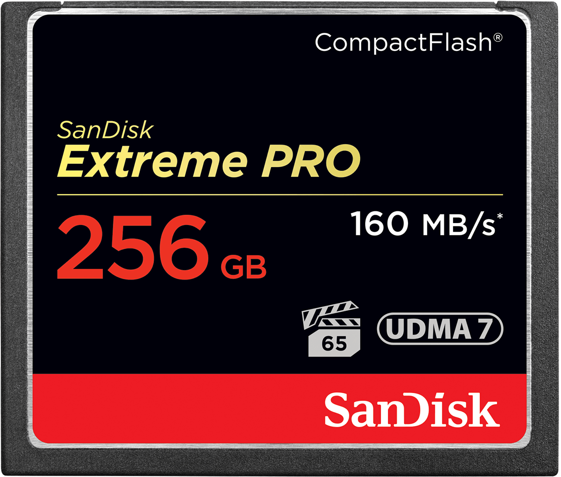SanDisk Extreme Pro CompactFlash Memory Card, 256Gb, UDMA 7 SDCFXPS-256G-X46