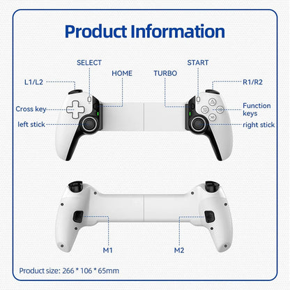 Techsuit BSP-D9 Controller, White