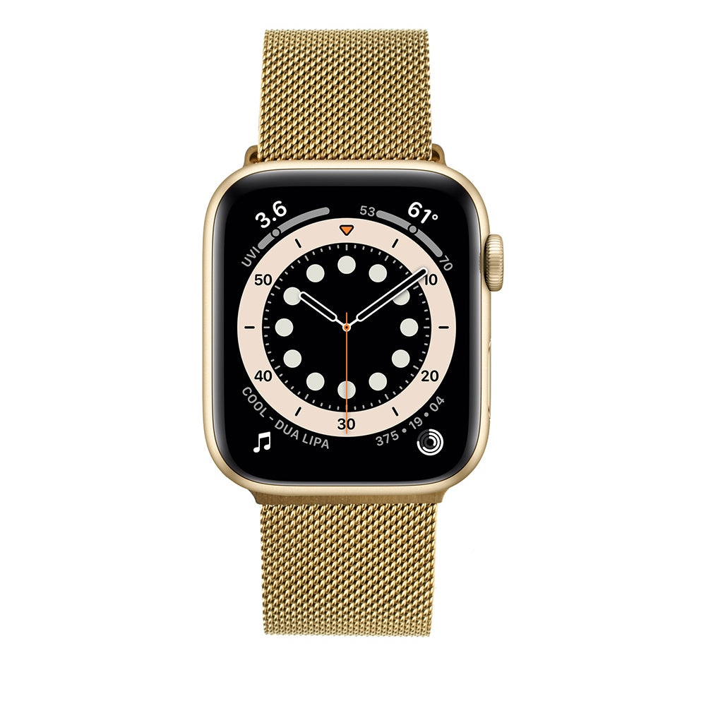 Fixed Mesh Strap for Apple Watch 42mm / 41mm / 40mm / 38mm Series, Gold